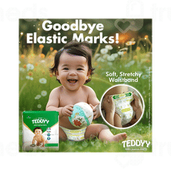 Teddyy Easy Baby Large Pants Diaper 42