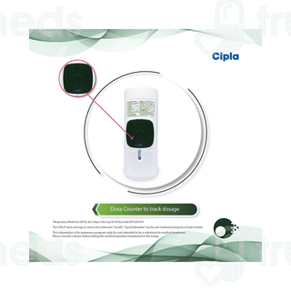 Seroflo 250 Synchrobreathe 120mdi