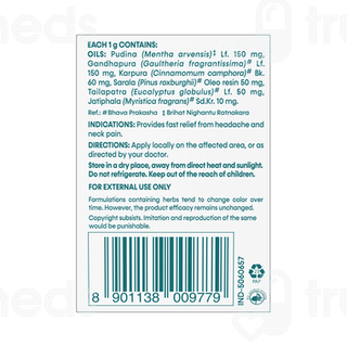 Himalaya Strong Mint Pain Balm 10gm