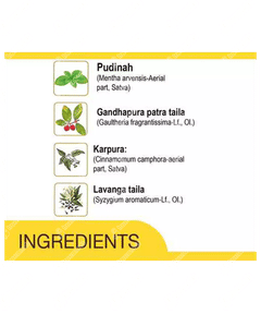 Amrutanjan Pain Balm 27.5 ML