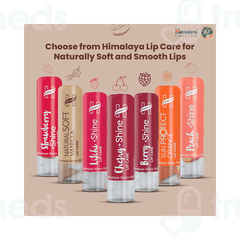 Himalaya Rich Cocoa Butter Lip Care 4.5 GM