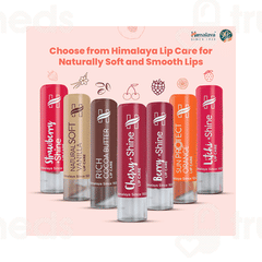 Himalaya Peach Shine Lip Care 4.5 GM Himalaya Peach Shine Lip Care 4.5 GM
