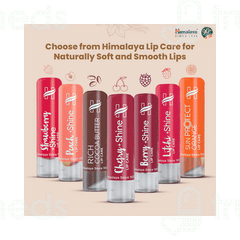 Himalaya Natural Soft Vanilla Lip Care 4.5gm