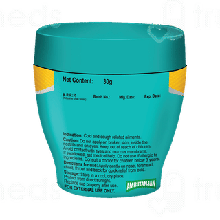 Amrutanjan Cold Rub 30 GM