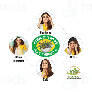 Amrutanjan Aromatic Action Extra Power New Pain Balm 27.5ml
