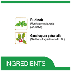 Amrutanjan Strong Double Power Pain Balm 7.2Gm