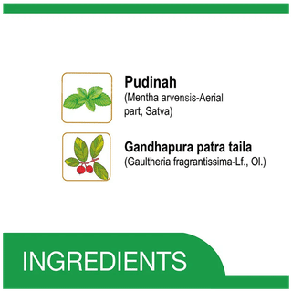 Amrutanjan Strong Double Power Pain Balm 7.2Gm