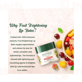 Biotique Fruit Lip Balm 12 GM