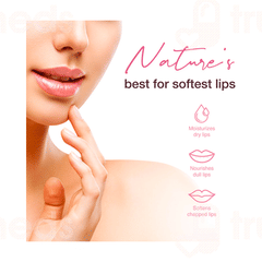 Wow Skin Science Himalayan Rose Natural Lip Balm 10 GM