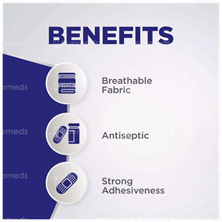 Hansaplast Regular Antiseptic Strips 100