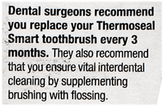 Thermoseal Smart Toothbrush 1