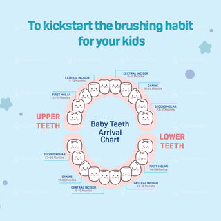 Pigeon 2-6 Years Kids Blue Toothbrush 1
