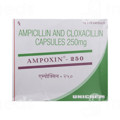 Ampoxin 250 Capsule 15