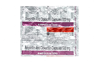 Ampoxin 500 Capsule 15