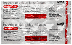 Biodoxi Lb Capsule 10