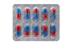 Cephadex 500 MG Capsule 10