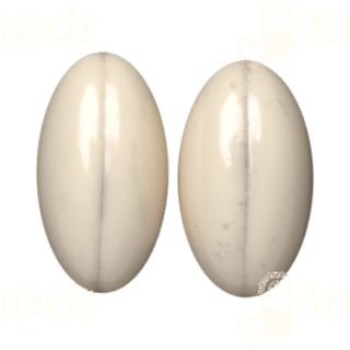 Coecoral D3 Capsule 10
