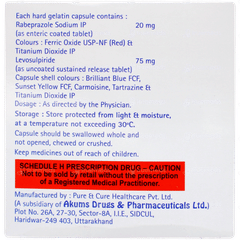 Derek L Capsule 10 Derek L Capsule 10