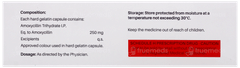 Evoxil 250 Capsule 10 Evoxil 250 Capsule 10
