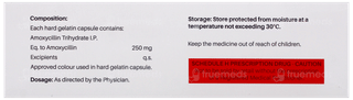 Evoxil 250 Capsule 10