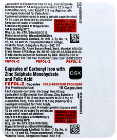 Fefol Z Capsule 15