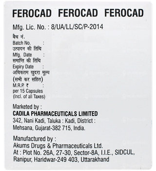 Ferocad Capsule 15