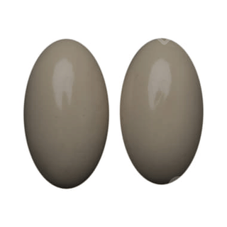 Gestone 200mg Capsule 10