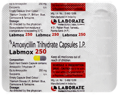 Labmox 250 Capsule 10