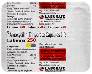 Labmox 250 Capsule 10