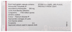 Lmx 250 Capsule 10