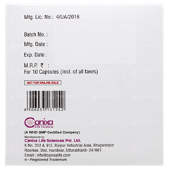 Logisil Capsule 10 Logisil Capsule 10
