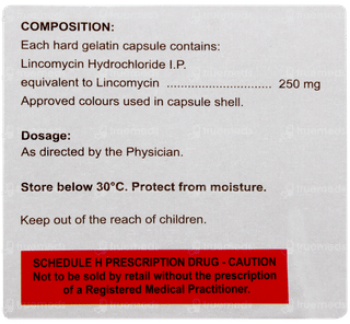 Lynx 250 Capsule 15