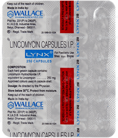 Lynx 250 Capsule 15