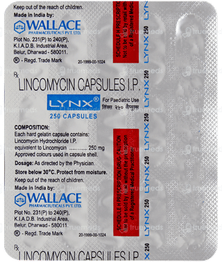 Lynx 250 Capsule 15