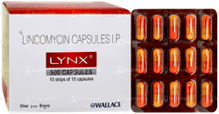 Lynx 500 Capsule 15