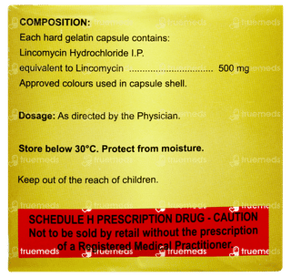 Lynx 500 Capsule 15