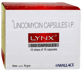 Lynx 500 Capsule 15