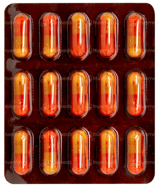 Lynx 500 Capsule 15