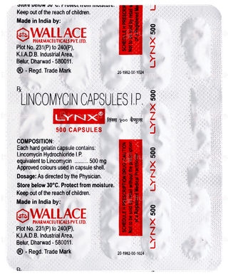 Lynx 500 Capsule 15