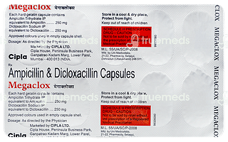 Megaclox 250/250 MG Capsule 10