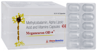 Meganeuron Od + Capsule 10