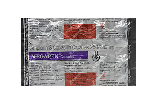 Megapen 250/250 MG Capsule 10