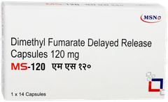 Ms 120 Capsule 14