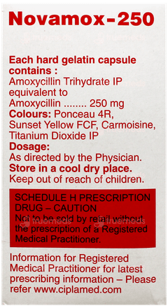 Novamox 250 Capsule 15 Novamox 250 Capsule 15
