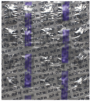 Olit 20 Capsule 20