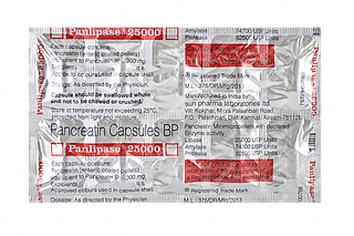 Panlipase 25000 Usp Capsule 10