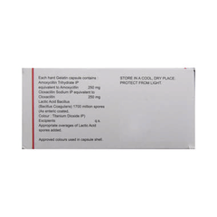 Symbiotik Capsule 6