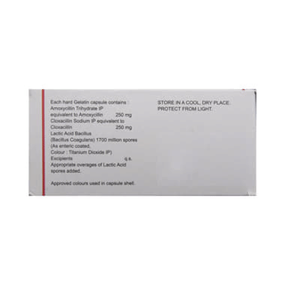 Symbiotik Capsule 6