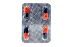 Syscan 200 Capsule 4
