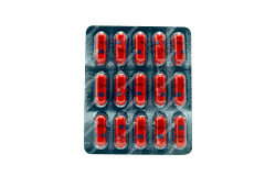 Wymox 500mg Capsule 15